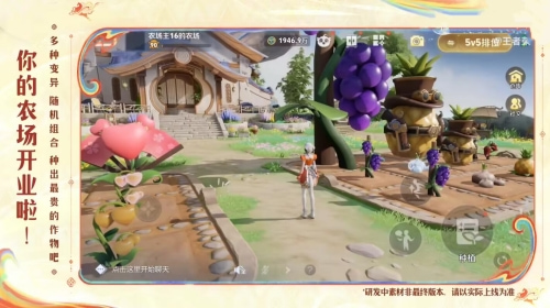 Ͽ���Ժ�Ҳ���ֲˣ���Ѷ��������ҫ��ũ���淨����